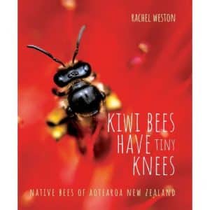 Kiwi Bees Have Tiny Knees