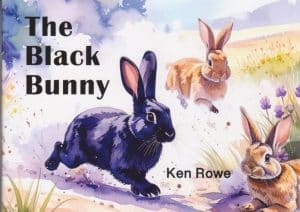 Black Bunny