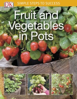 Fruit And Vegetables In Pots
