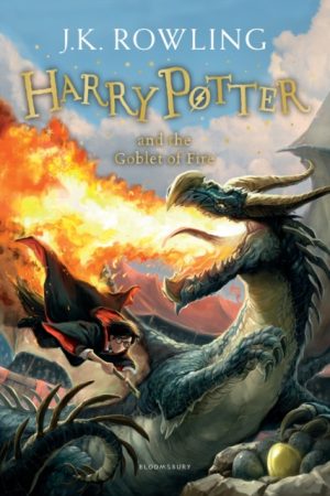 Harry Potter And The Goblet Of Fire - 4 Harry Potter