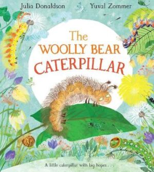 Woolly Bear Caterpillar