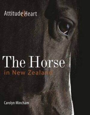 Horse In New Zealand - Attitude And Heart
