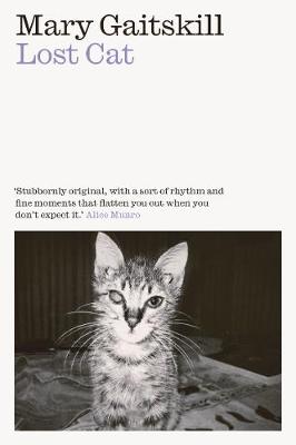 Lost Cat - A Memoir